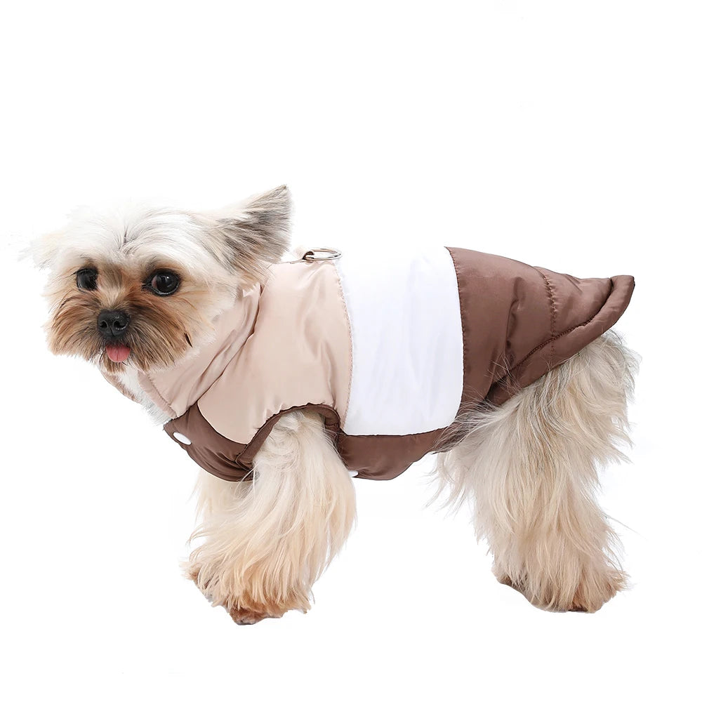 Winter Doggie Jacket With D-ring