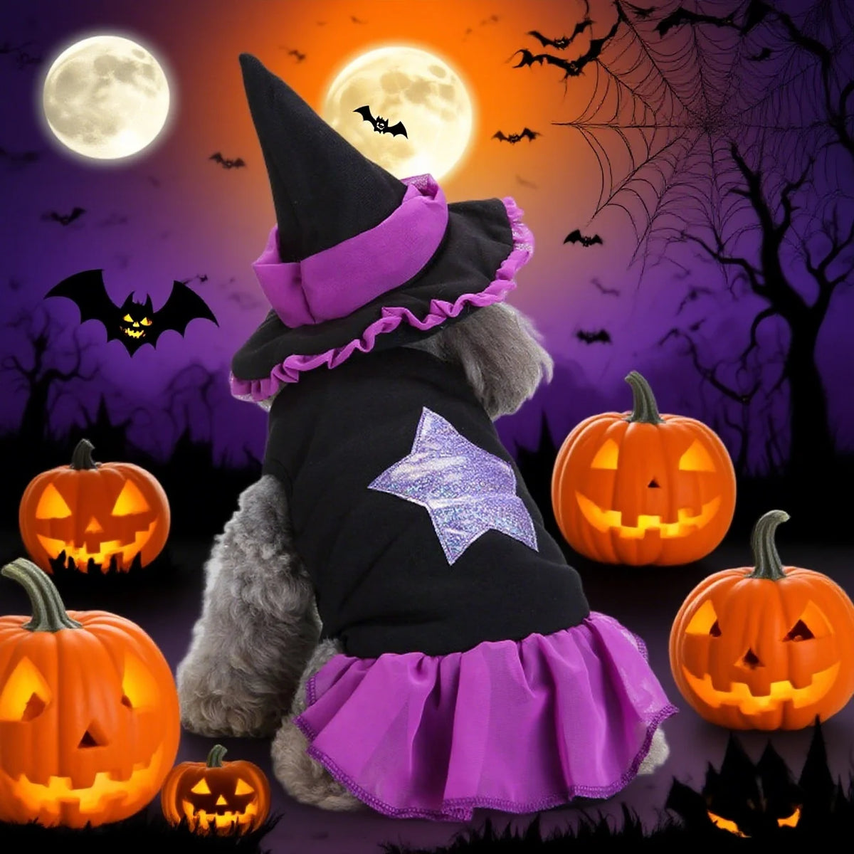 Halloween Doggie Witch Costume