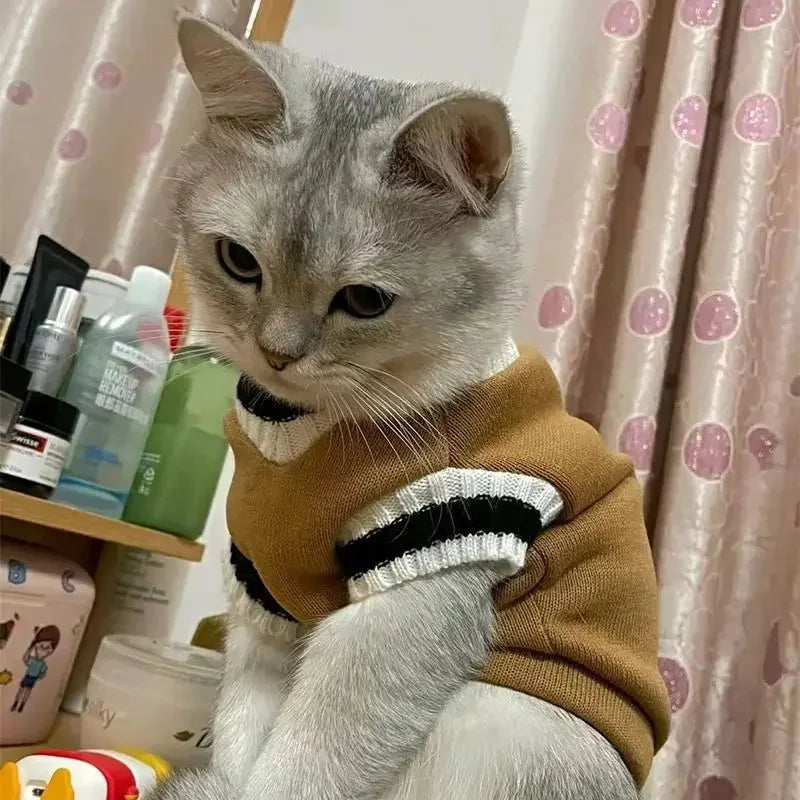 College Style Doggie Sweater