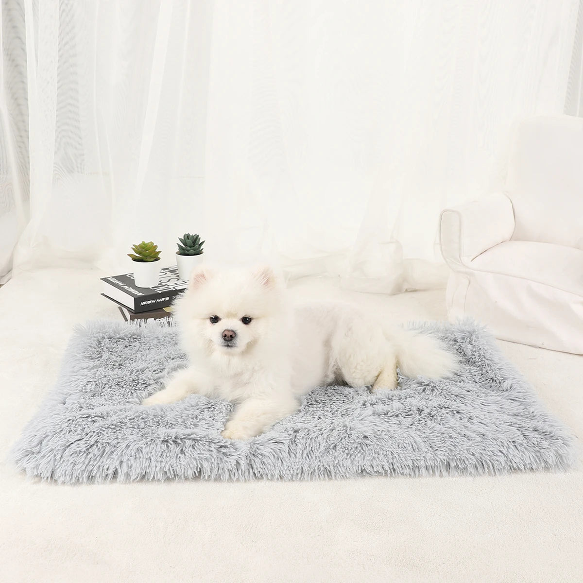 Plush Doggie Blanket/Bed