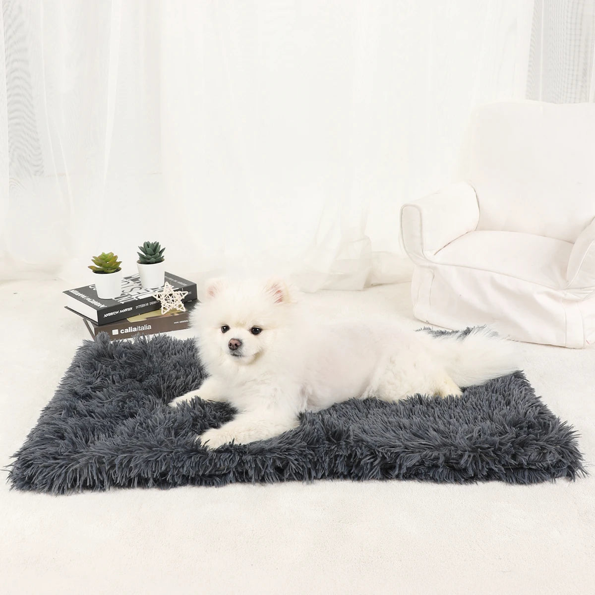 Plush Doggie Blanket/Bed