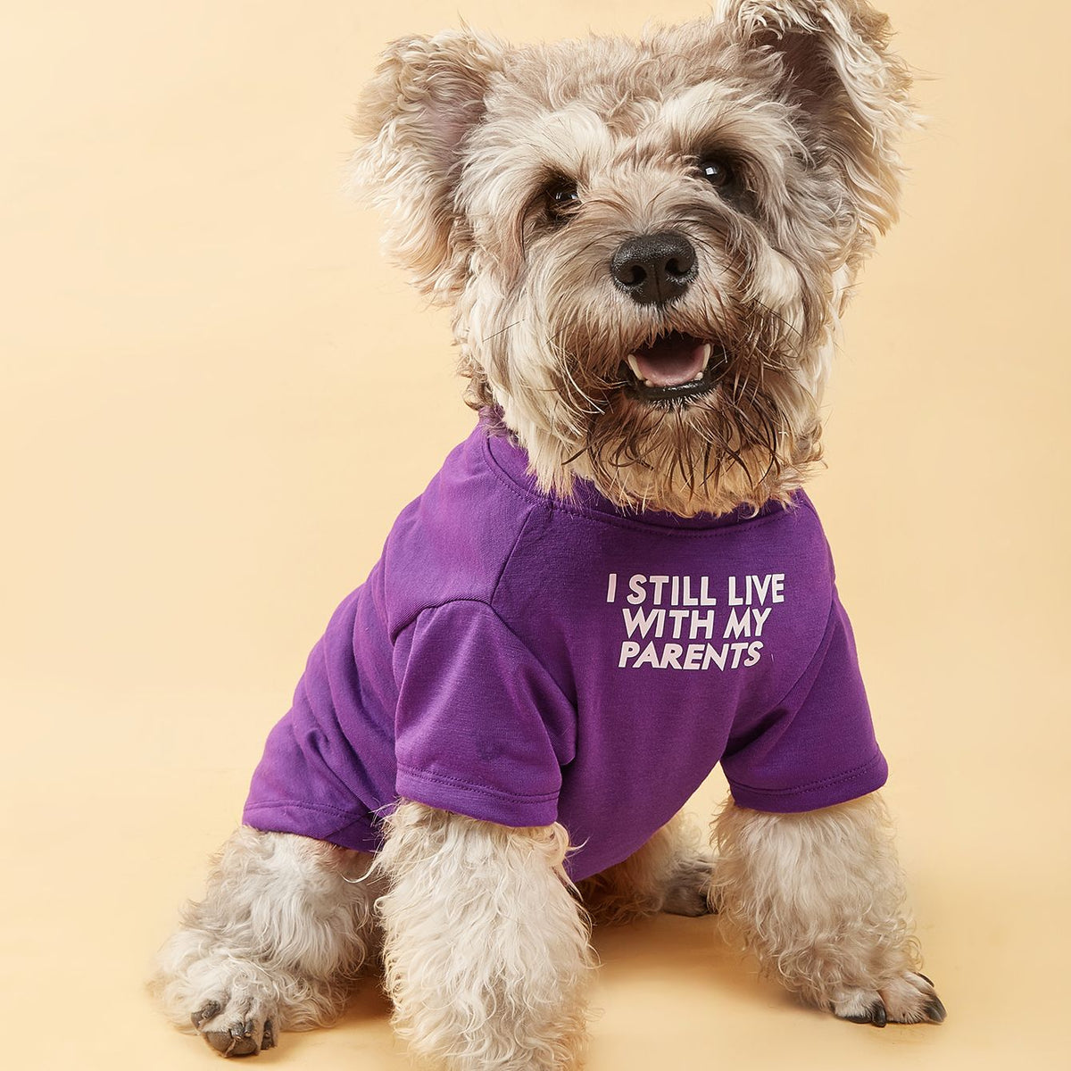 560181131